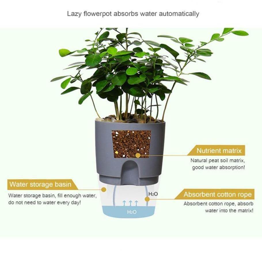BowLift | Self-watering Plant Pot with Water Container