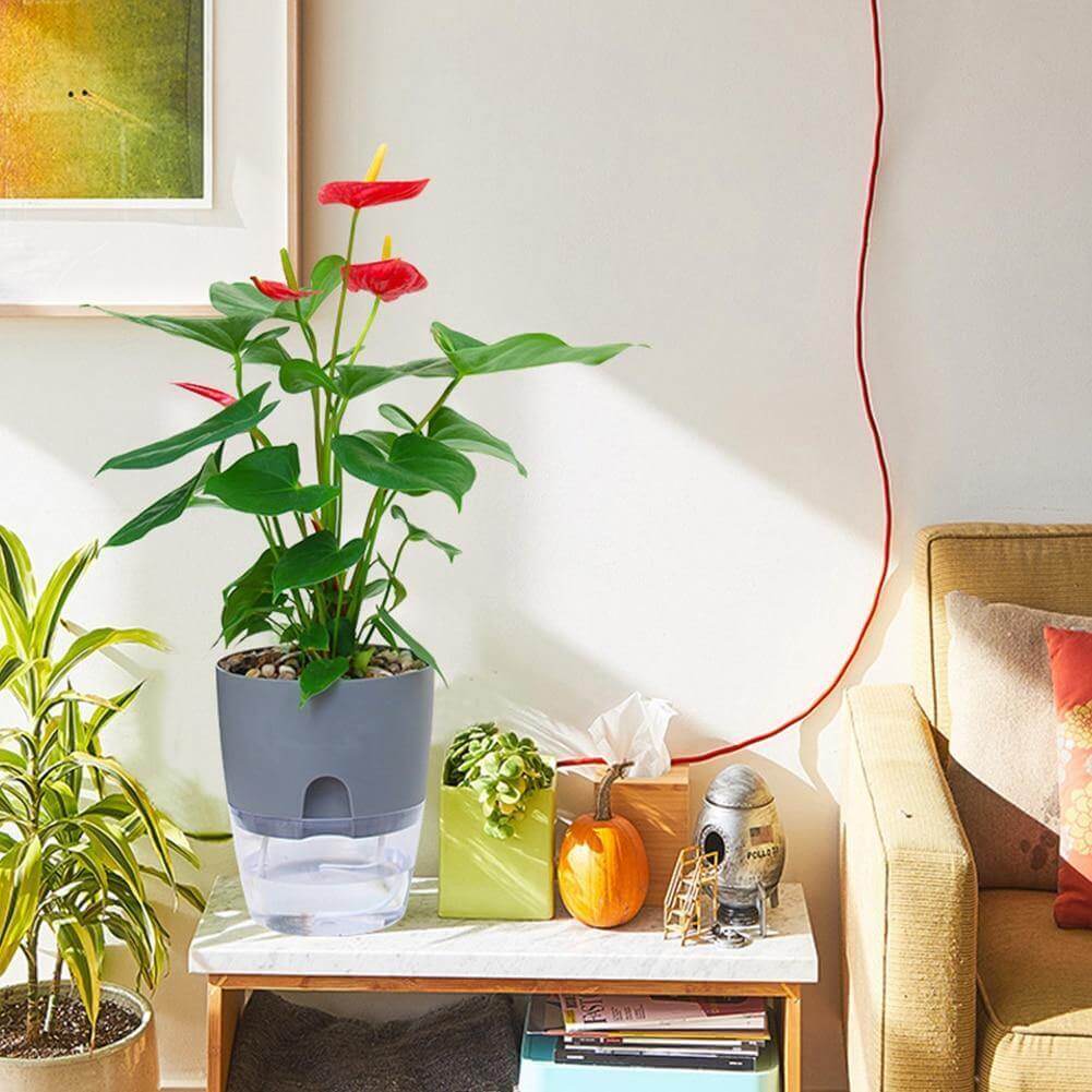 BowLift | Self-watering Plant Pot with Water Container