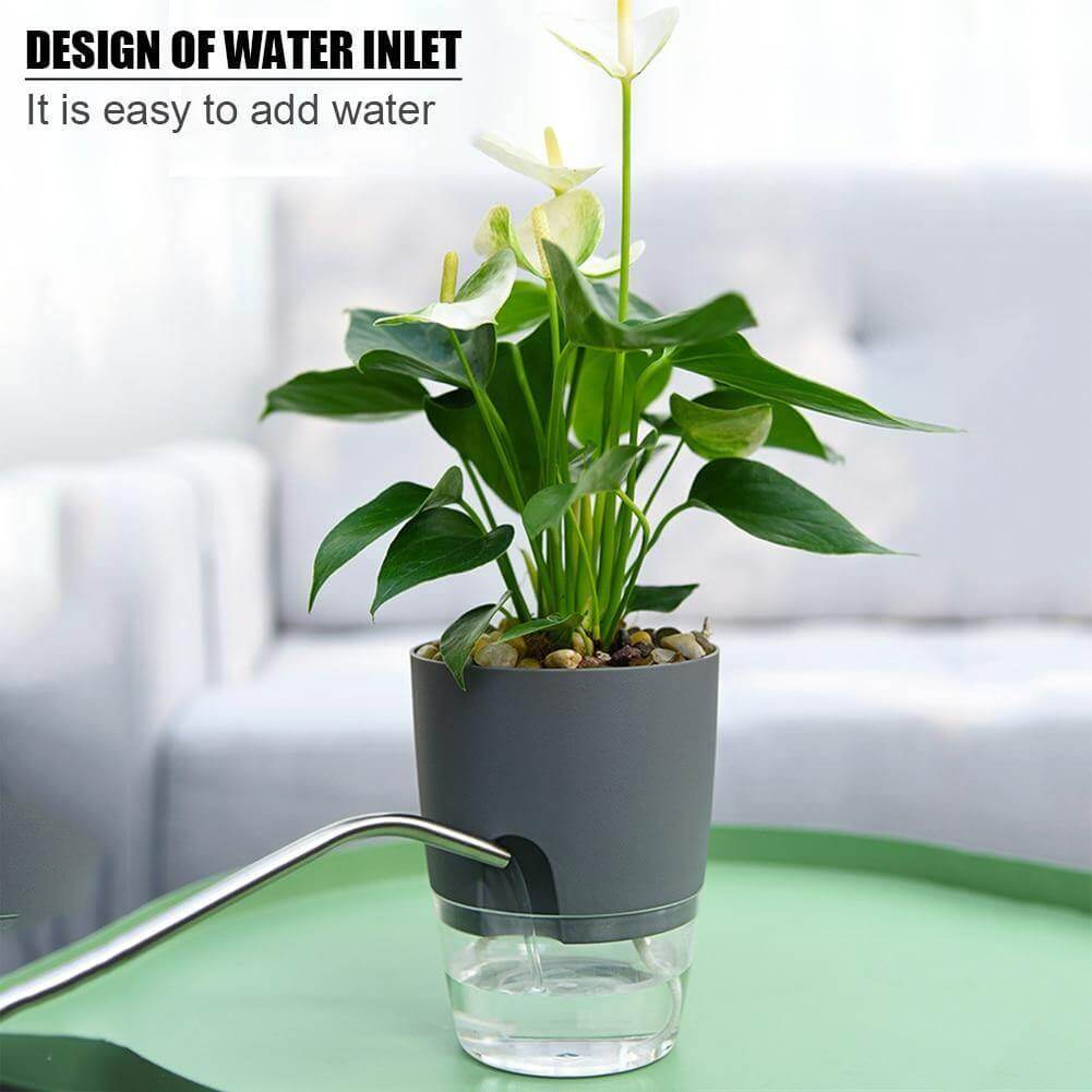 BowLift | Self-watering Plant Pot with Water Container