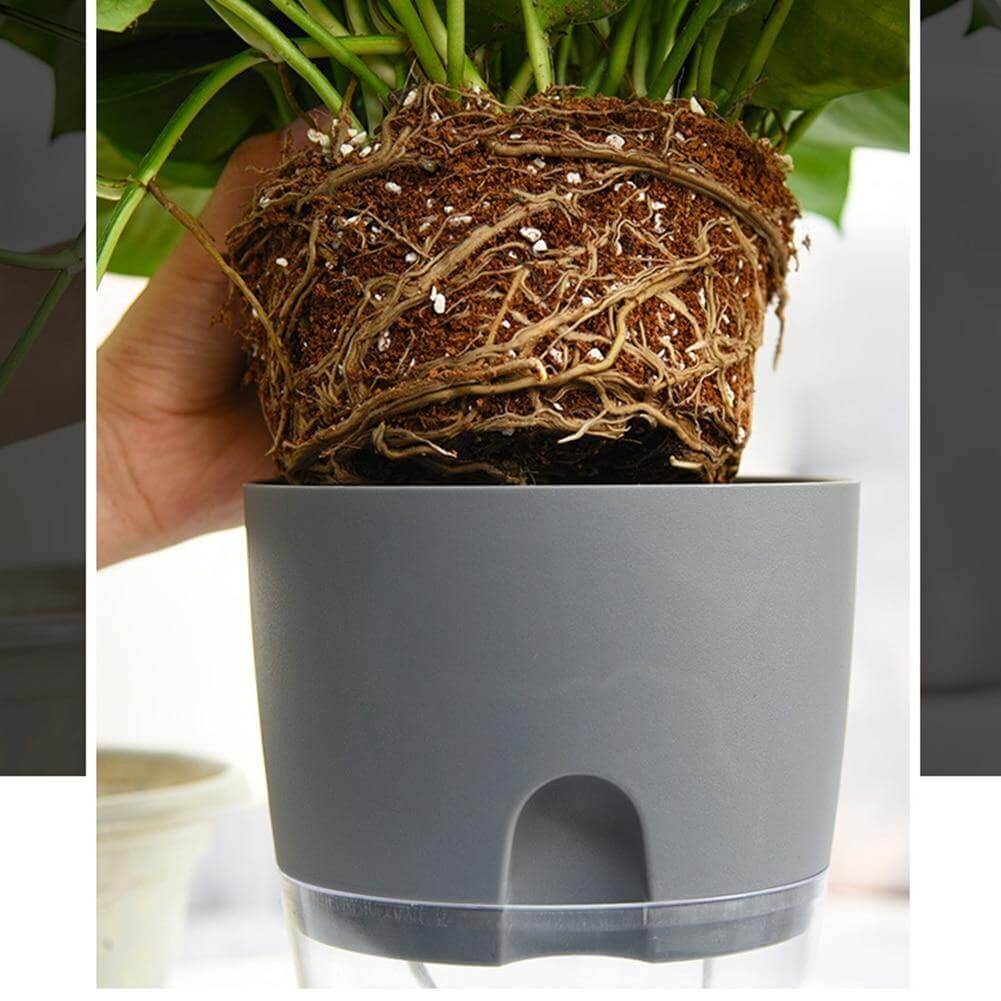 BowLift | Self-watering Plant Pot with Water Container
