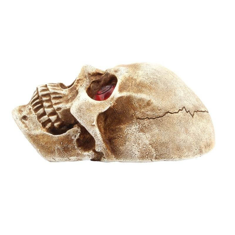 BowLift | Skull Scary LED Night Light