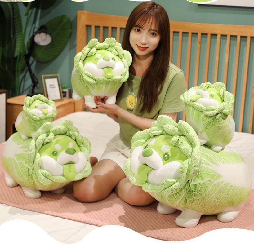 BowLift | Cute Vegetable Cabbage Stuffed Dog Pillow