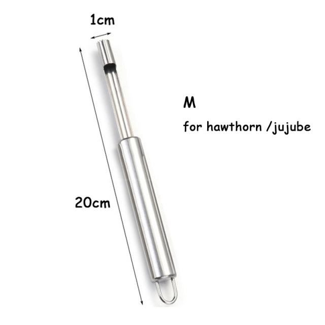 BowLift | Stainless Steel Fruit Core Remover Tool