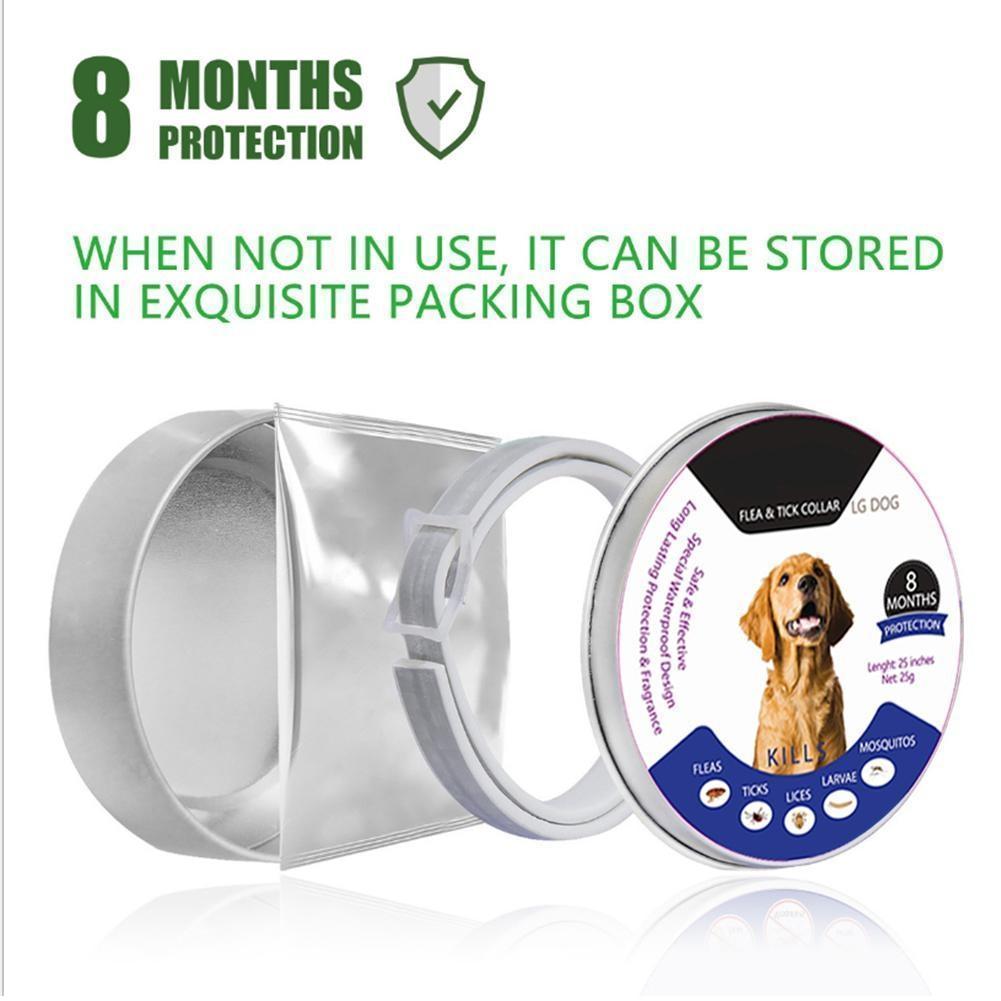 BowLift | Tick and Flea Eliminating Dog Collar