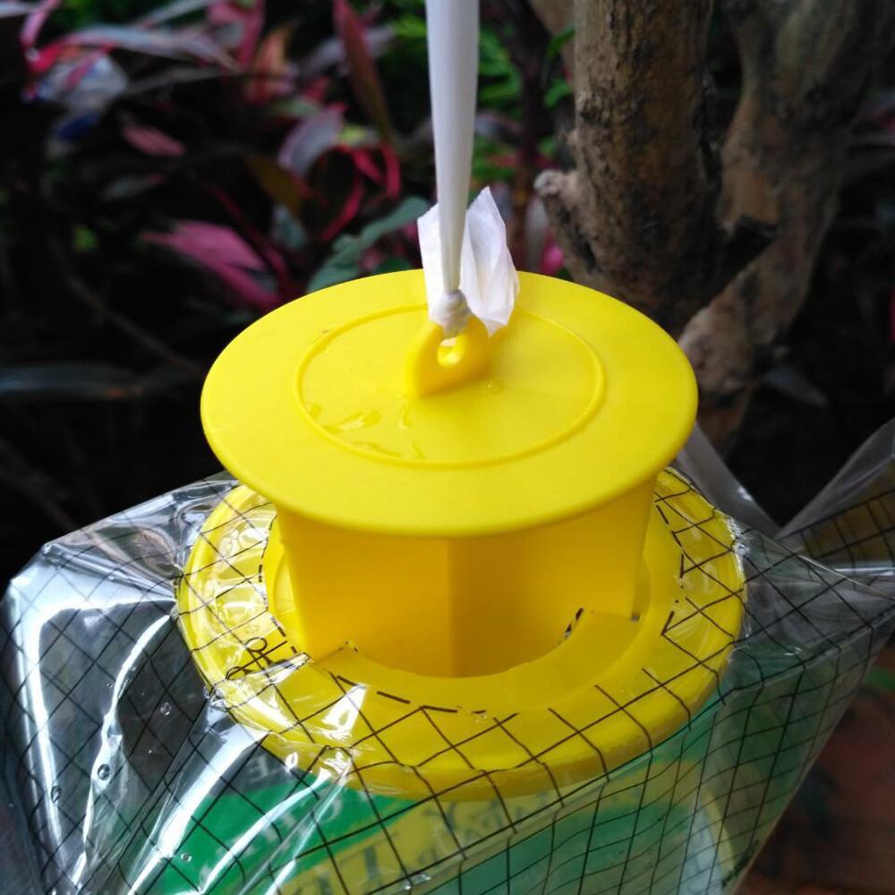 BowLift | Disposable Fly Trap