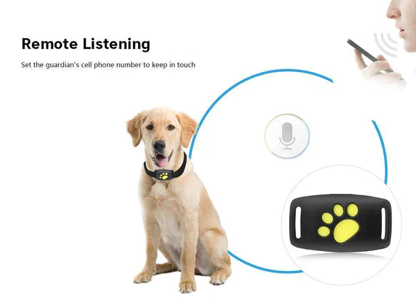 BowLift | Cat GPS Tracker for Pets Locator Device Microchip