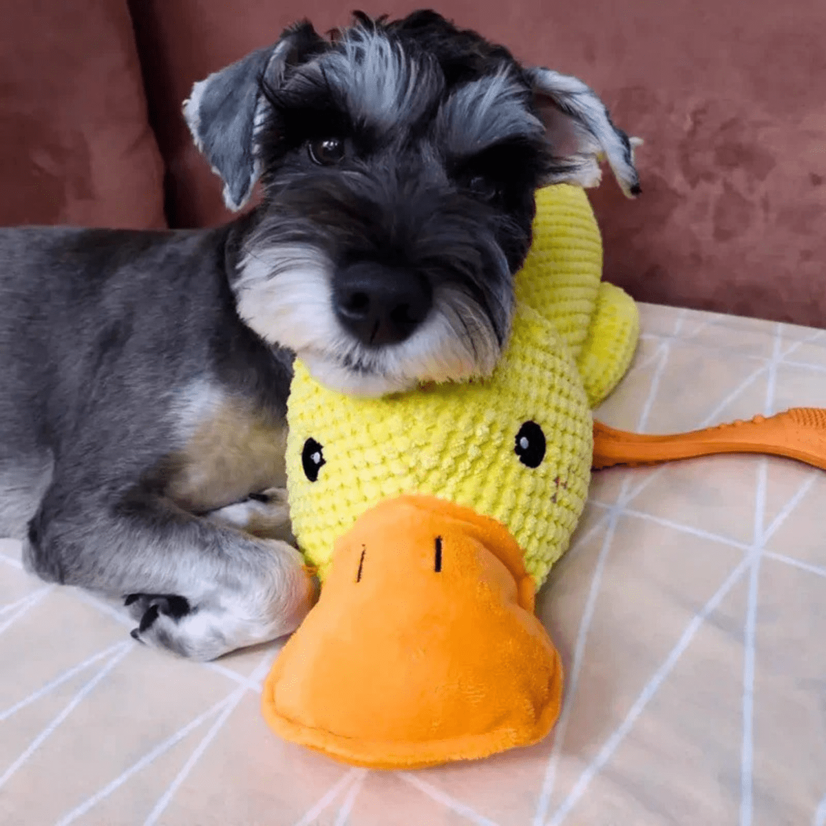 BowLift | PawVerve Plush Duck Toy for Dogs | Soft squeaky comfort toy for playful and relaxed pets