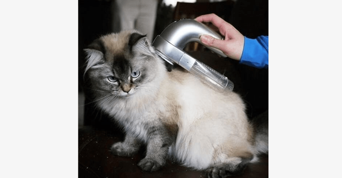 BowLift | Pet Vacuum Groomer