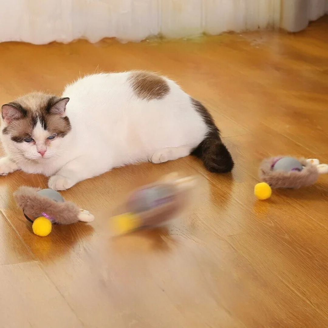 BowLift | Interactive Rolling Ball Toy with Tail for Cats