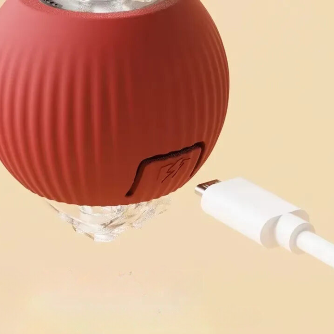 BowLift | Interactive Rolling Ball Toy with Tail for Cats