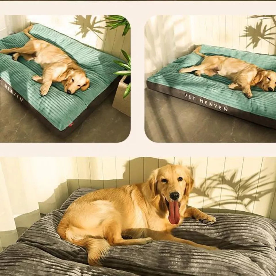 BowLift | DreamRest Orthopedic Dog Bed – Fluffy, Supportive & Washable Comfort