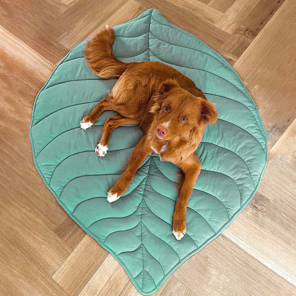 BowLift | Dog Blanket Mat for Large Pets