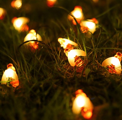 BowLift | Solar Honey Bee String Lights - Waterproof Lights for Garden, Christmas, Wedding, Party Outdoor Lighting