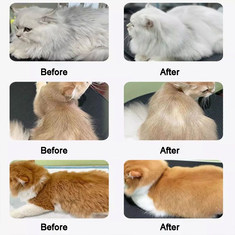 BowLift | Pet Shiny and Smooth Hair Care Conditioner