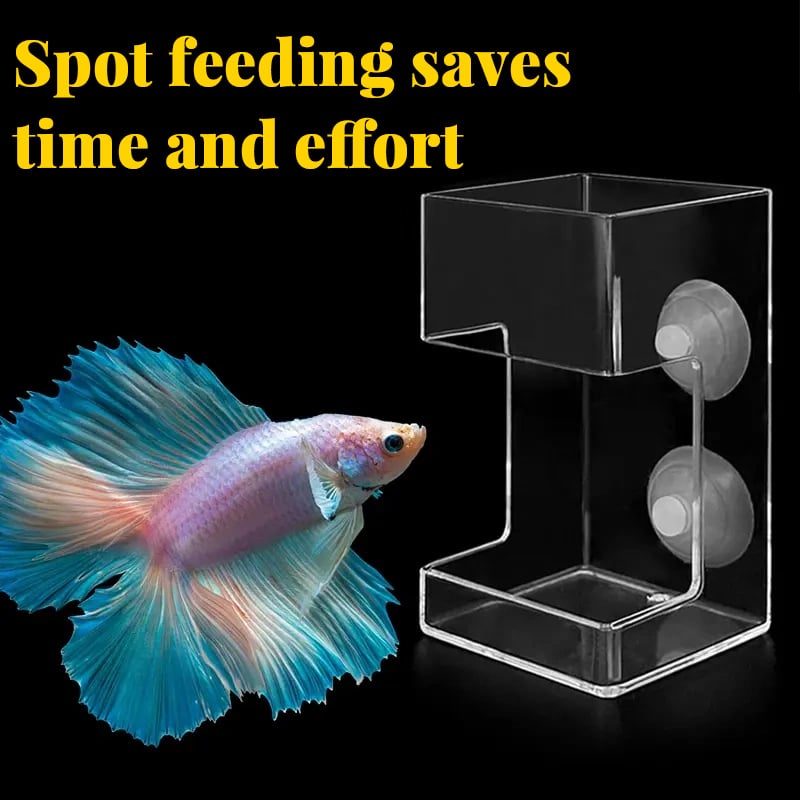 BowLift | Feeding ring and tray for aquarium