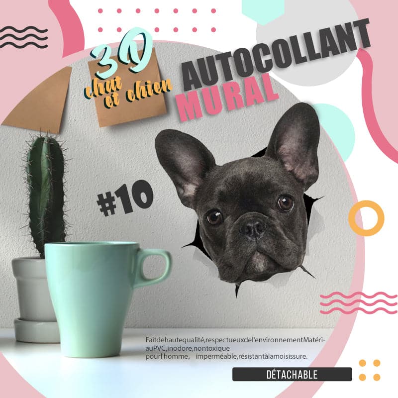 BowLift | 3D stickers with cats and dogs that can be removed