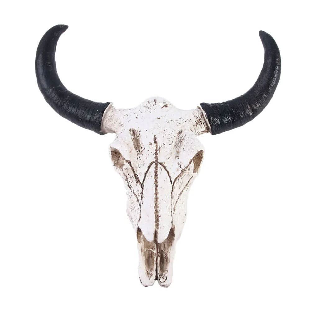 BowLift | Decorative Resin Longhorn Skull Wall Art