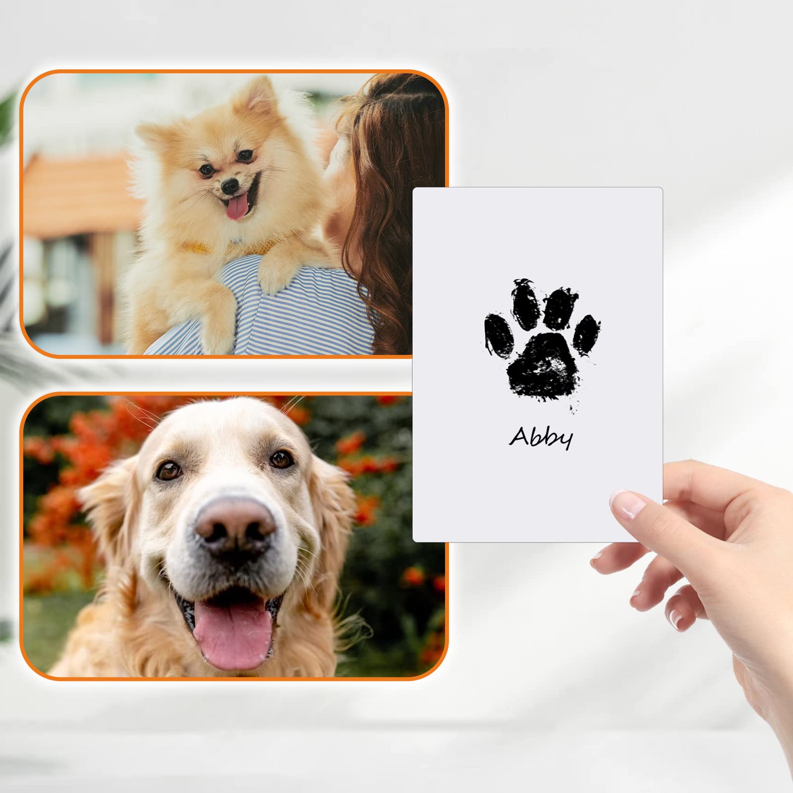 BowLift | Paw Print Stamp Pad