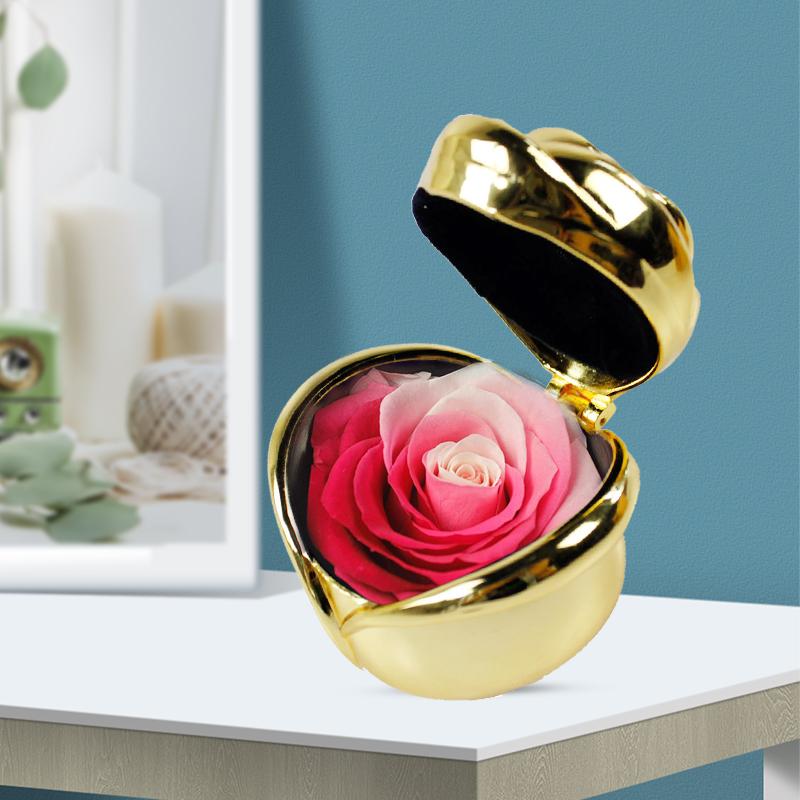 BowLift | Preserved Flower Rose