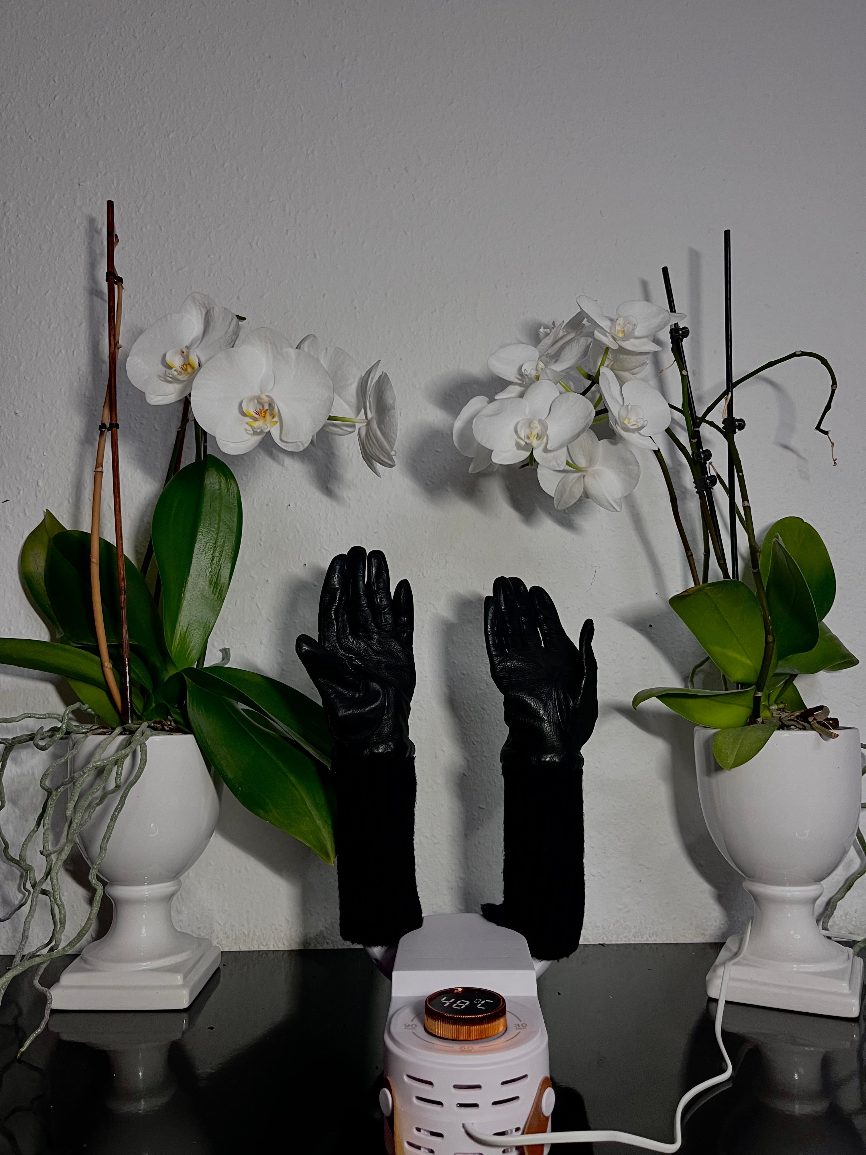 BowLift | DryKick Hygienic Shoe Solution