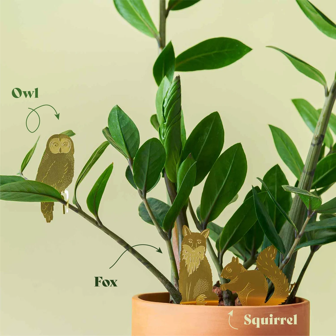 BowLift | Plant Animal Decorations