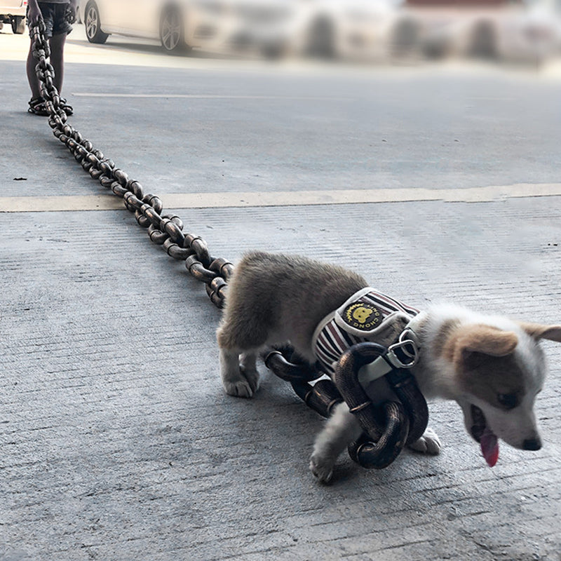 BowLift | Funny Dog Leash