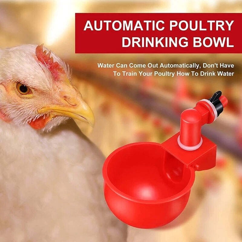 BowLift | Automatic Chicken Water Cup Bird Coop