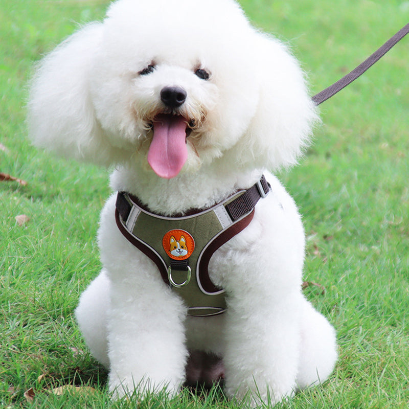 BowLift | Reflective Pet Harness and Leash Set