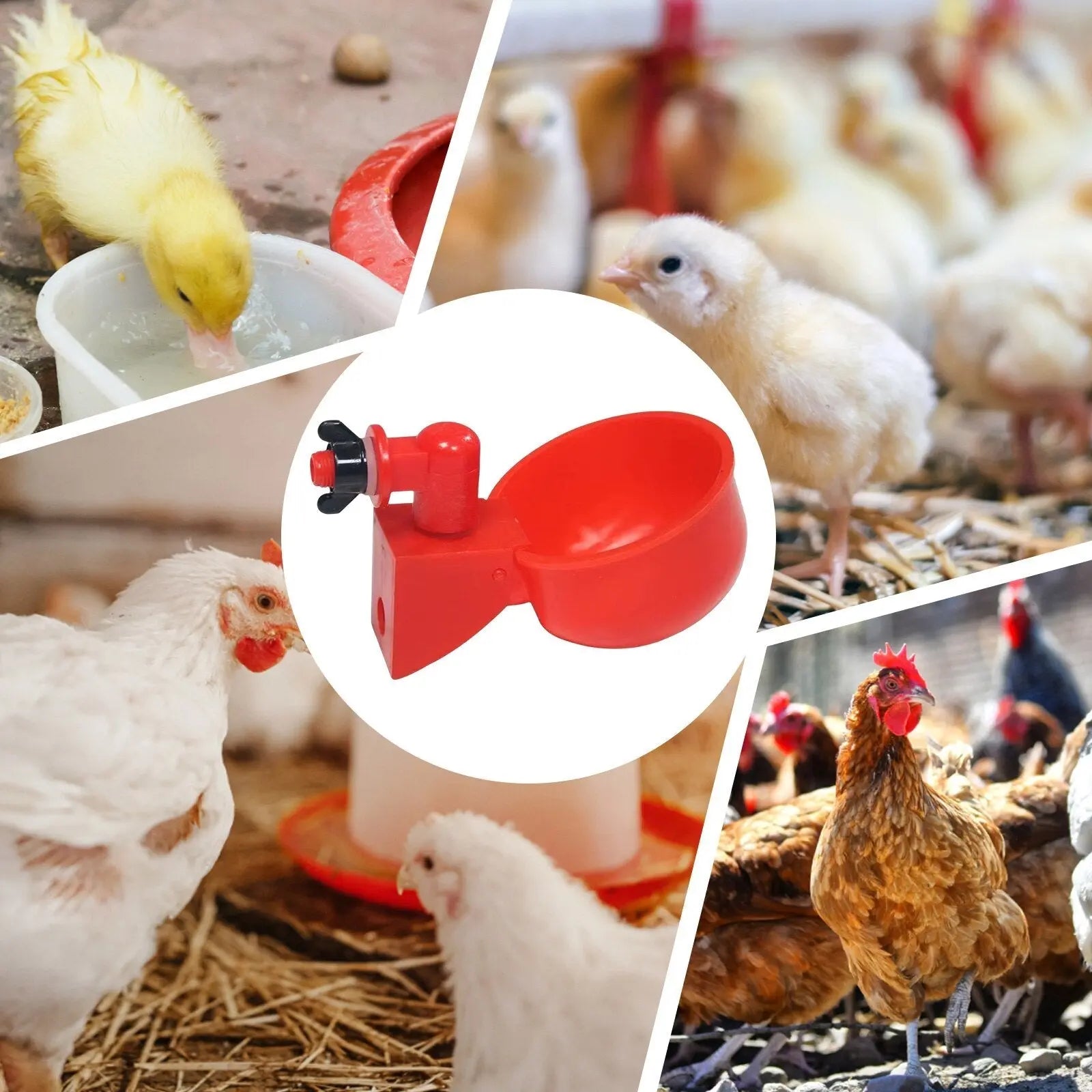 BowLift | 10 Piece Automatic Drinking Cups for Poultry – For Fresh Water Around the Clock