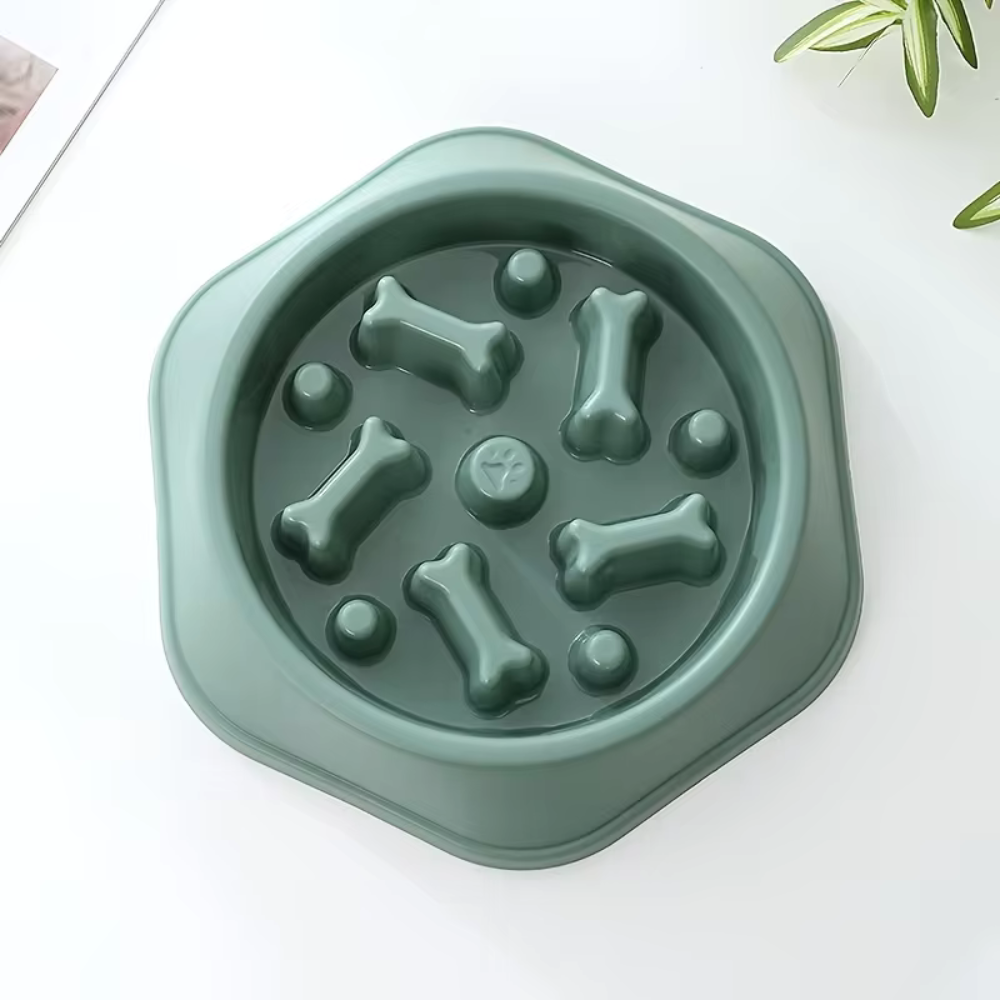 SlowBowl • Dog Feeding Bowl Slow