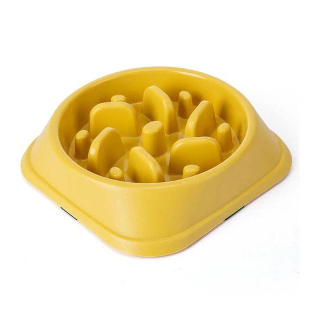 PetPace • Dog Feeding Bowl Slow