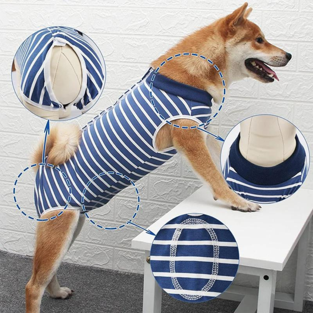 SurgiGuard • Anti-Licking Dog Recovery Suit