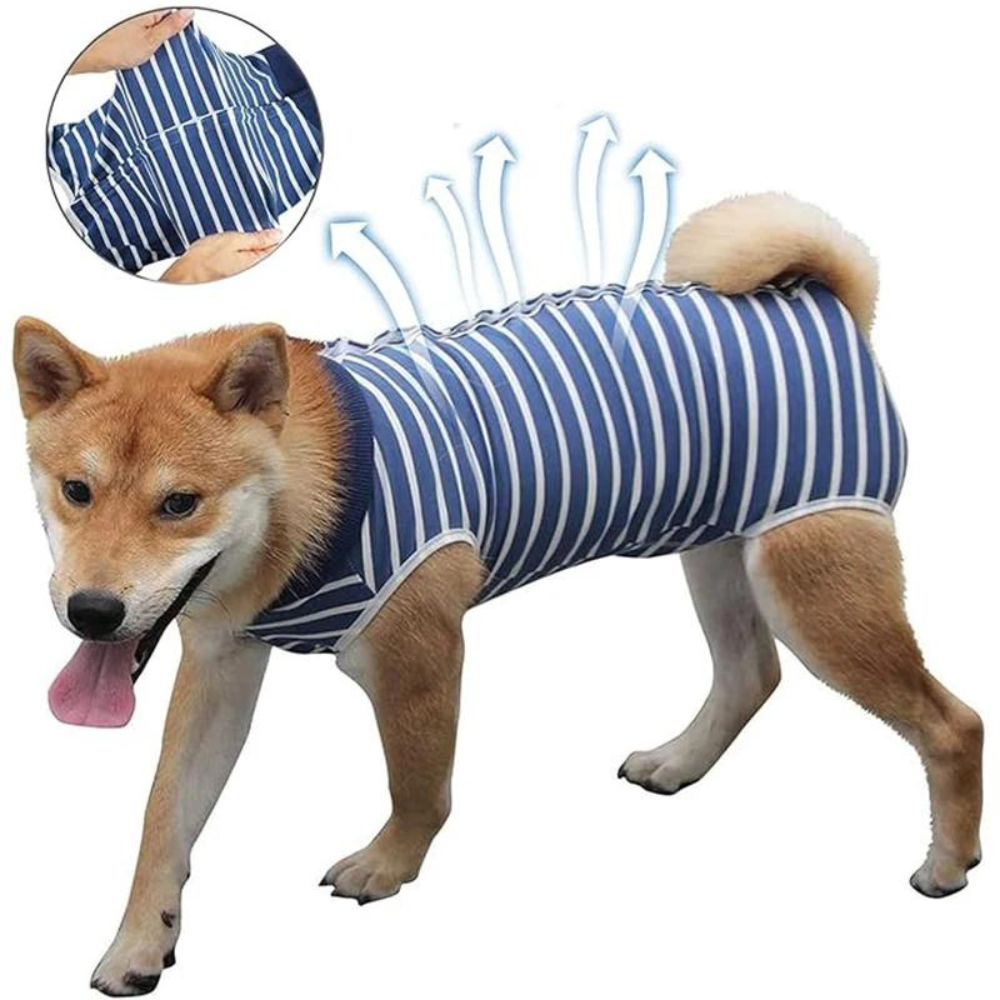 SurgiGuard • Anti-Licking Dog Recovery Suit