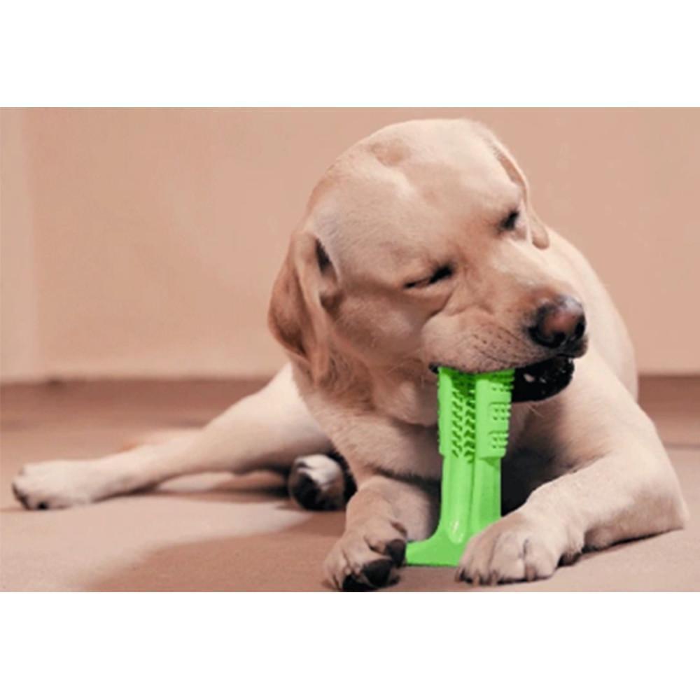 BowLift | Pet Dog Toothbrush