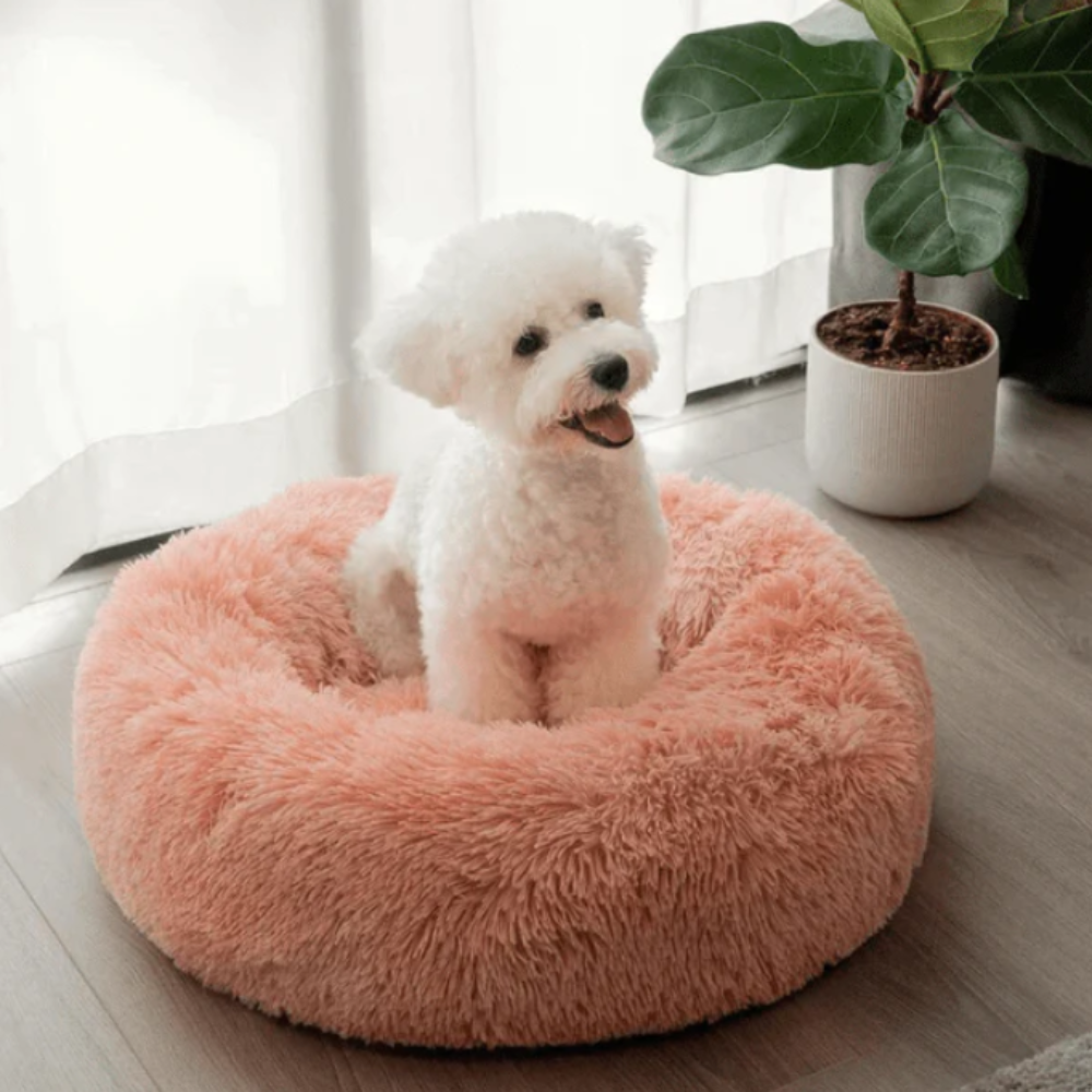 CalmNest • Anxiety-Reducing Pet Bed