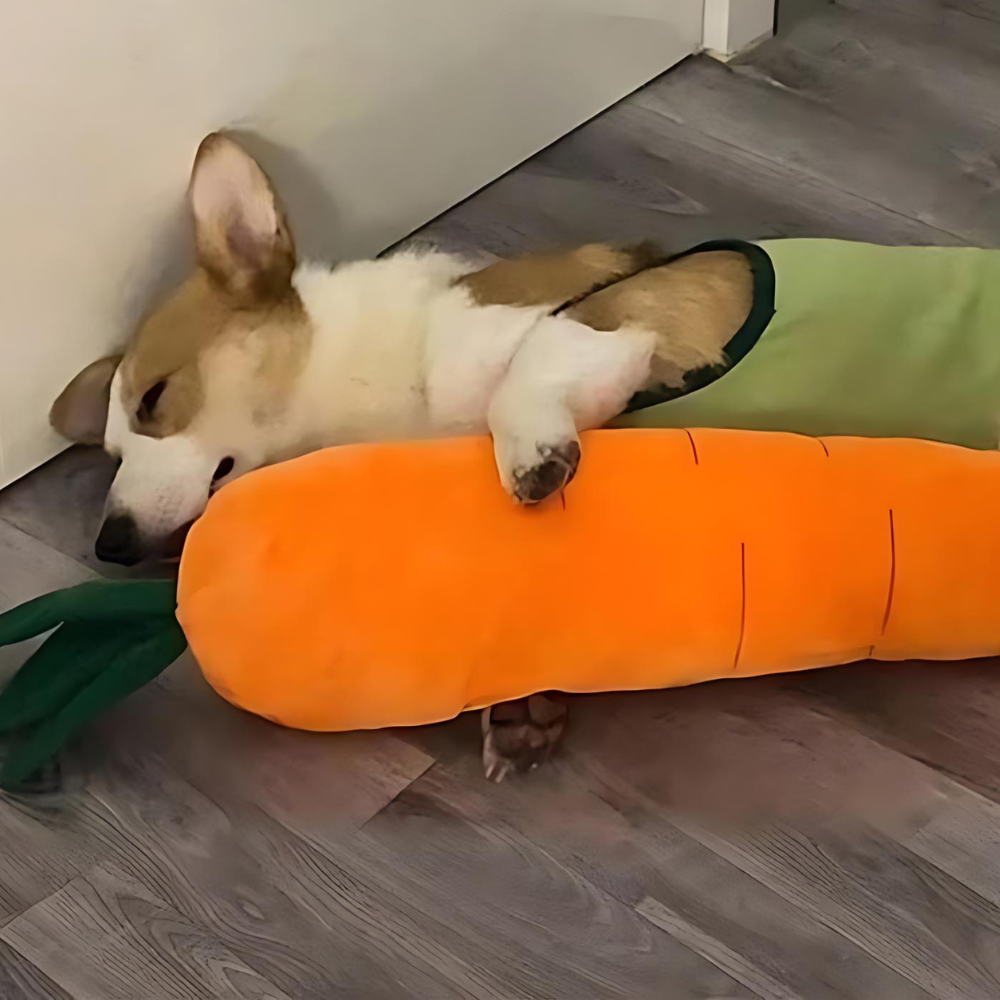 CarrotPlush • Interactive Dog Chew Toy