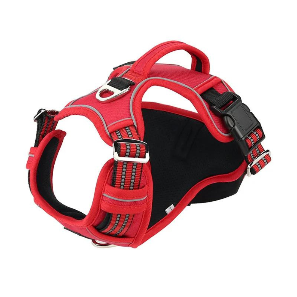 PowerHarness •  No Pull Dog Harness