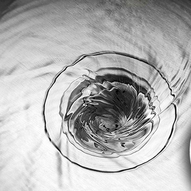 BowLift | Contemporary Single Basin Kitchen Sink Round Stainless Steel Sink with Drain Strainer Set