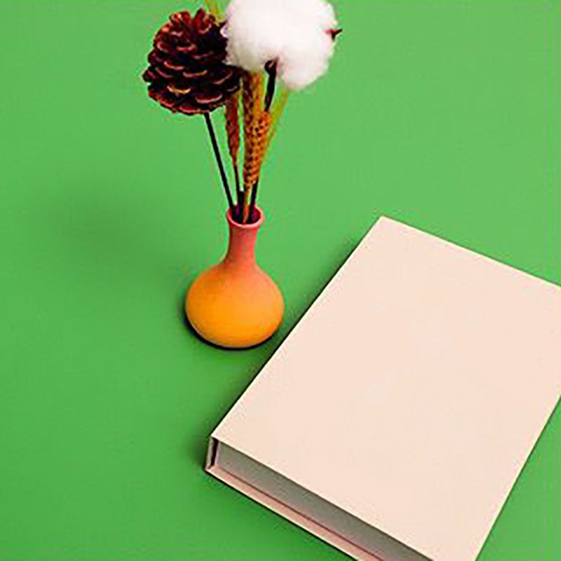 BowLift | Waterproof PVC flooring in solid color, self-adhesive, scratch-resistant PVC flooring