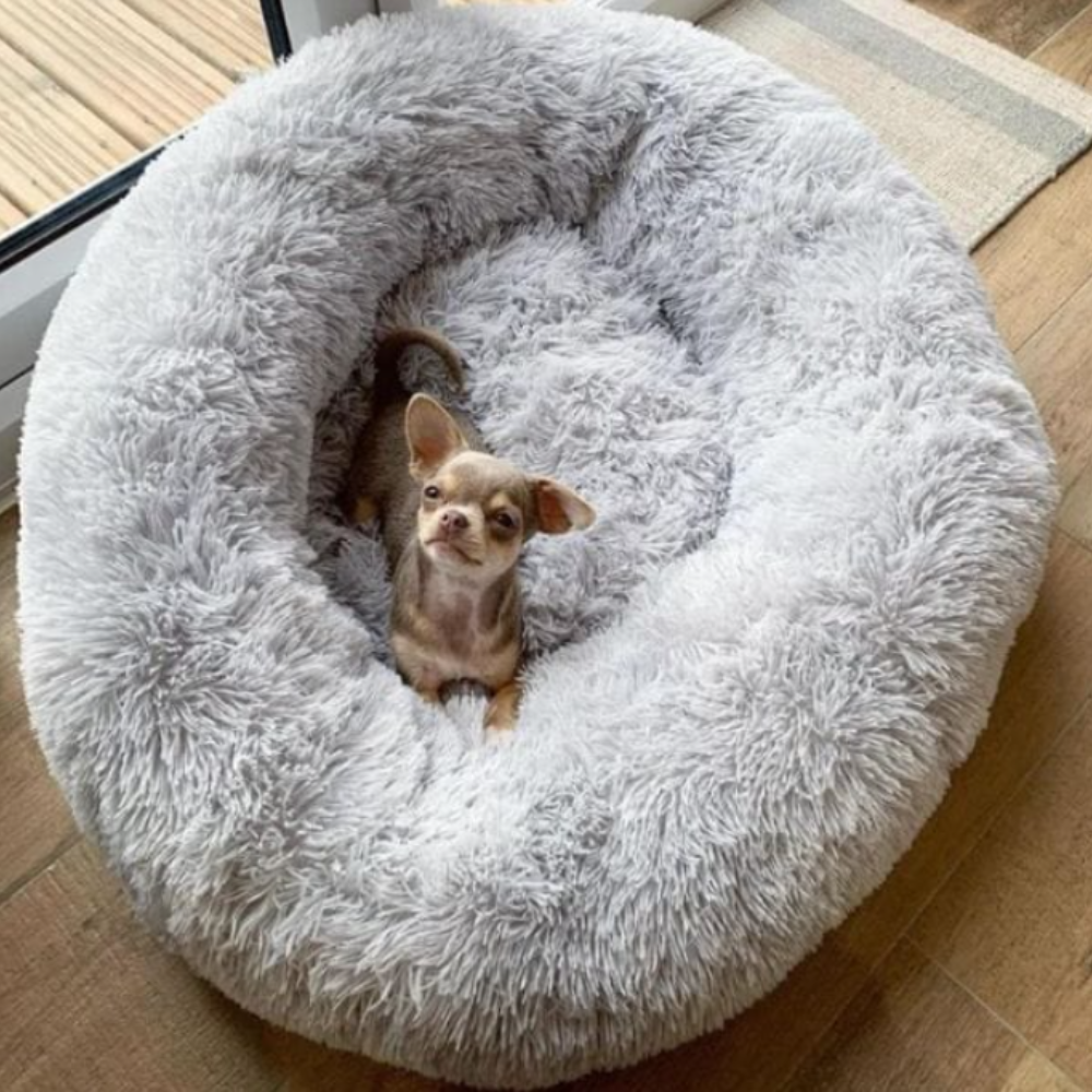 CalmNest • Anxiety-Reducing Pet Bed