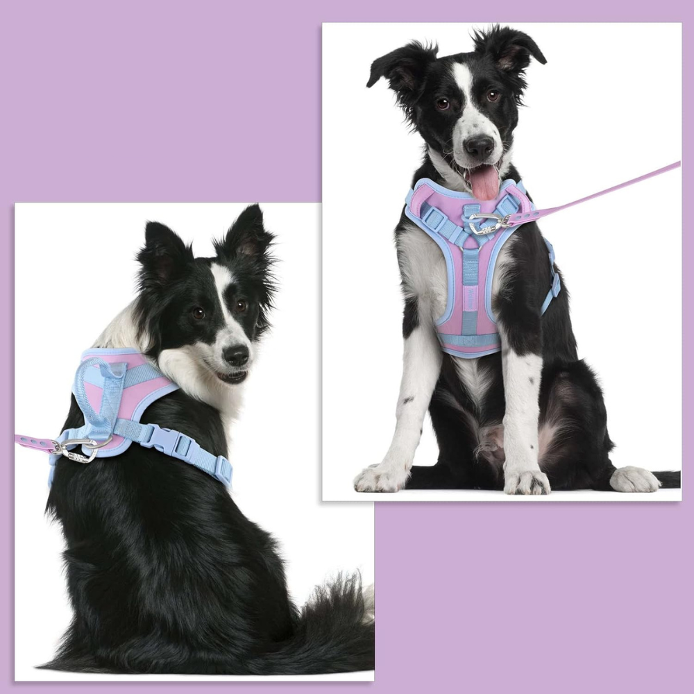 EasyWalk •  No Pull Dog Harness