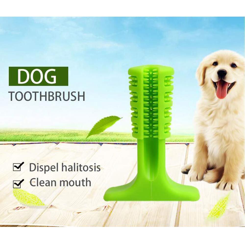 BowLift | Pet Dog Toothbrush