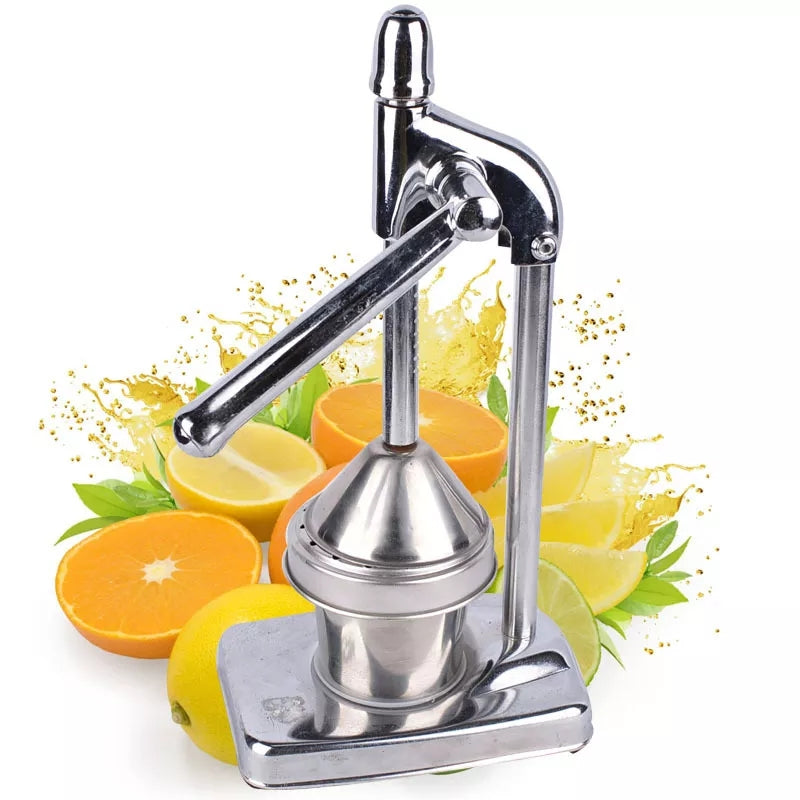 BowLift | Stainless Steel Fruit Juicer