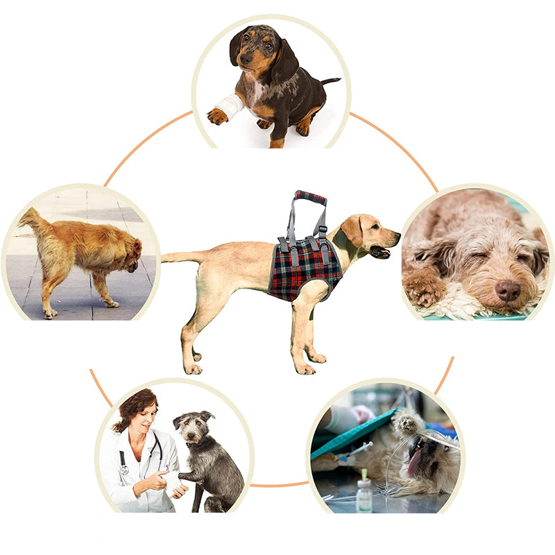 BowLift | Orthopedic Rear Leg Support Harness for Dogs – Ideal for Arthritis, Hip Dysplasia & Mobility Aid