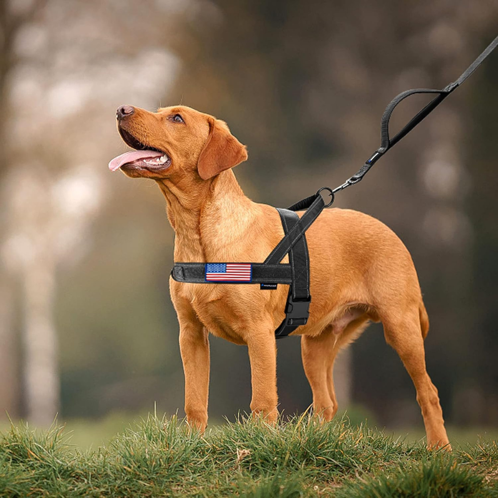 PatriotGuard •  No Pull Dog Harness