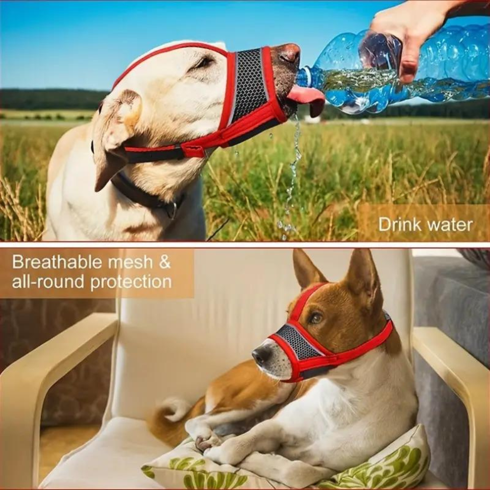 ComfortGuard • Dog Muzzle