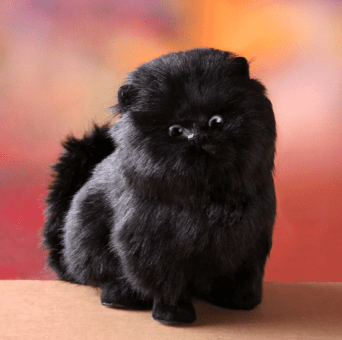 BowLift | Enchanting, electric, interactive plush kitten
