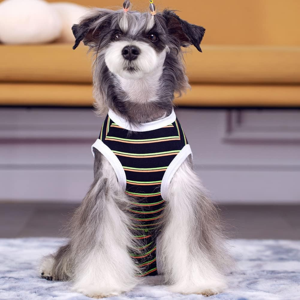 StripeGuard • Dog Recovery Suit for Post-Surgery Care