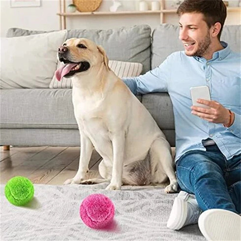BowLift | Pet Electric Ball Toy with Plush Cover(4 Colors Included)