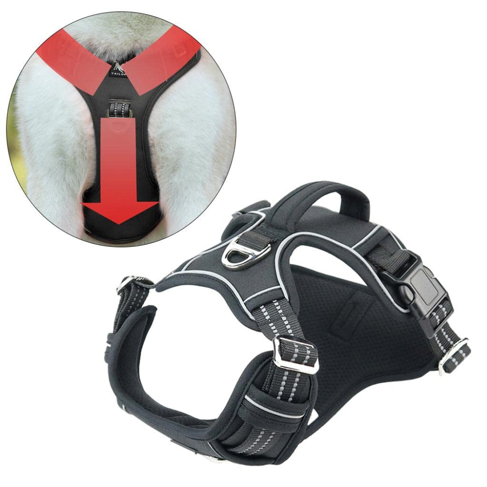 PowerHarness •  No Pull Dog Harness